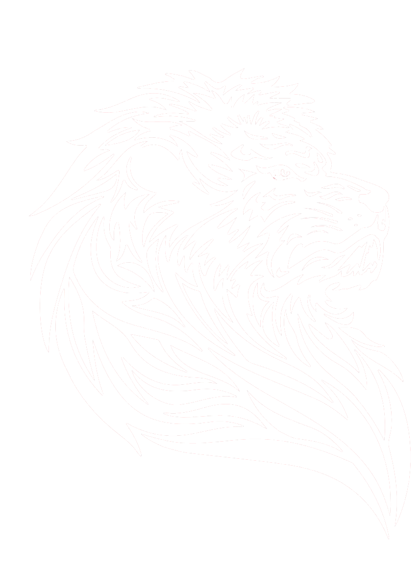 描述